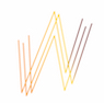 Wagner Society in NSW logo